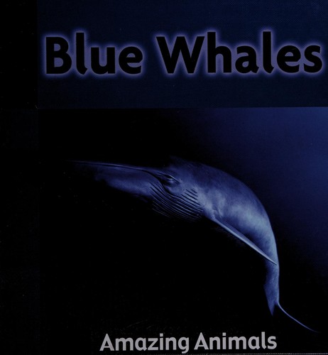 Blue whale