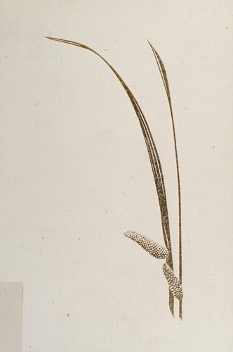 "And some brought flowers"