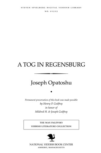 A ṭog in Regensburg