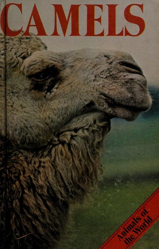Camels