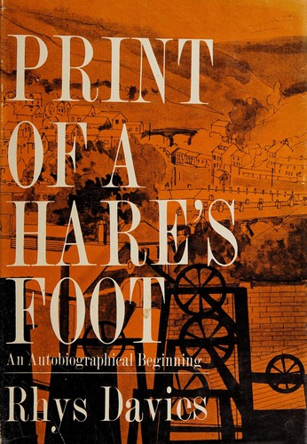 Print of a hare's foot