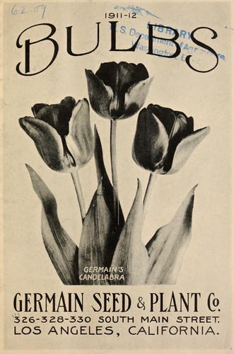 Bulbs for fall and winter planting