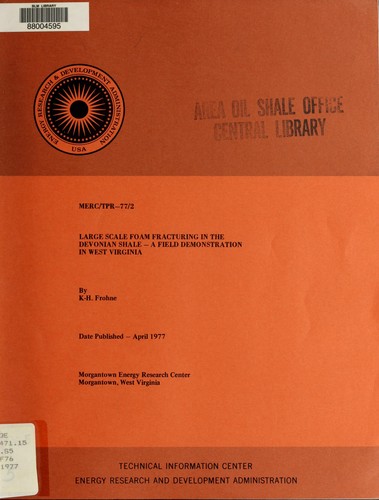 Large scale foam fracturing in the Devonian Shale