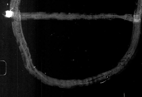 [Index (soundex) to the population schedules of the twelfth census of the United States, 1900 California]