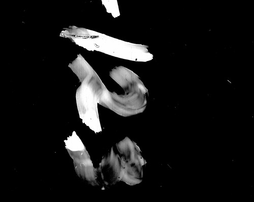 10th census, 1900, District of Columbia