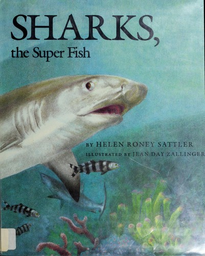Sharks, the super fish