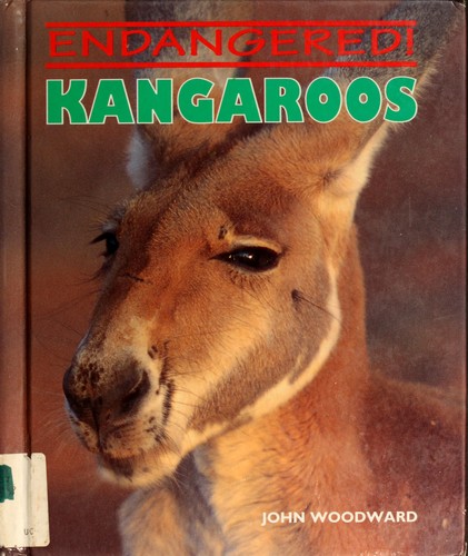 Kangaroos