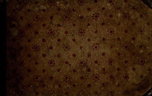 [Weaving pattern book