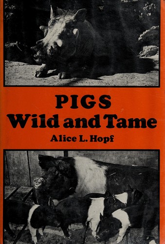 Pigs wild and tame