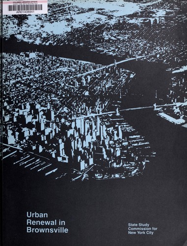 Urban renewal in Brownsville