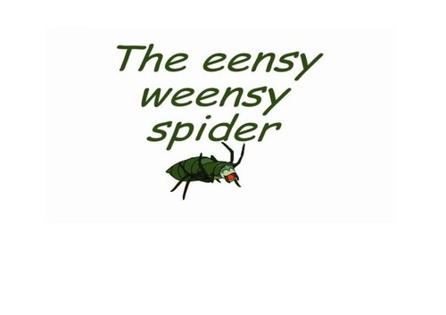 The eensy weensy spider