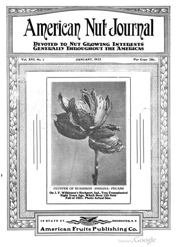 American Nut Journal