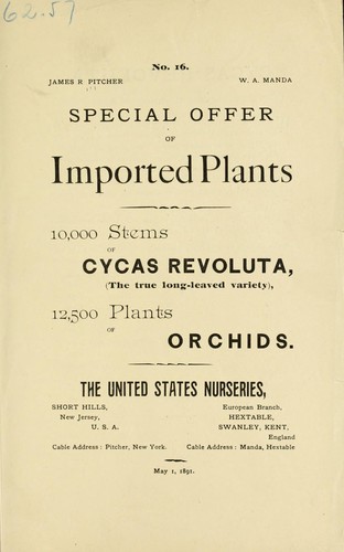 Special offer of imported plants