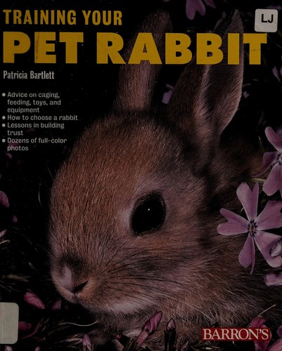 Training your pet rabbit