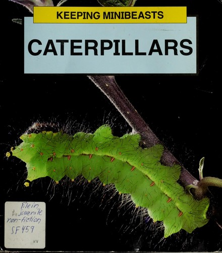 Caterpillars (Keeping Minibeasts)