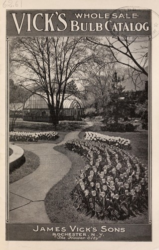 Vick's wholesale bulb catalog