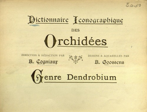 Dictionnaire iconographique des orchidees